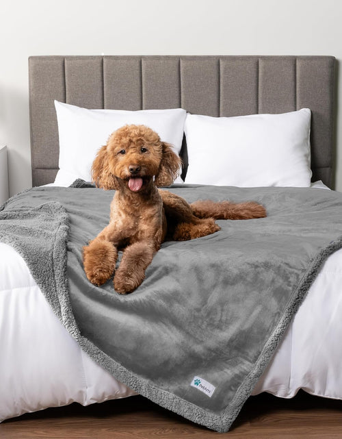 Load image into Gallery viewer, Waterproof Dog Blanket for Queen Bed Large XL Dog Throw for Couch Cover Leakproof Furniture Protection, Sherpa Fleece, Reversible Soft Washable 90X90 Light Gray

