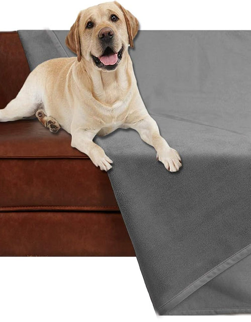Load image into Gallery viewer, Pet Bed Blanket Reversible 100% Waterproof Velvet Super Soft for Sofa and Bed (40X60 Inches, Light Grey+Grey)
